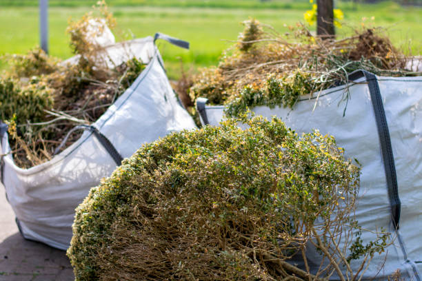 Santa Paula, CA Junk Removal Services Company